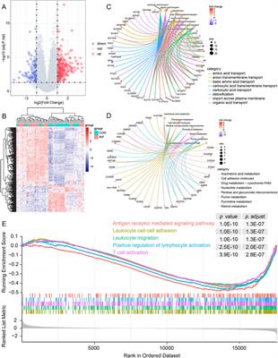 Identification and validation of immune cells and hub genes alterations in recurrent implantation failure: A GEO data mining study